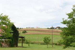 Landschaftskonzept Litzelsdorf