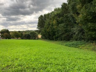 Rückhaltebecken Pöttelsdorf