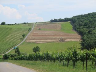 Weingartenterrassierung Deutschkreutz