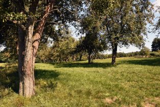 BiDiMo Burgenland Süd