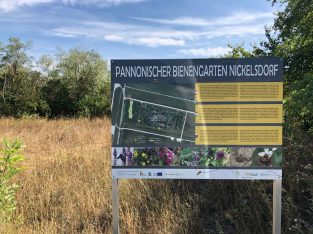 Bienengarten Nickelsdorf
