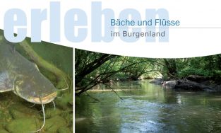 Broschüre 'Burgenländische Bäche und Flüsse'