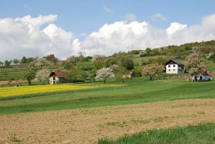 Entwicklungskonzept Weinberg Markt Neuhodis
