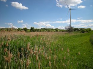 Naturraumerhebung Parndorf