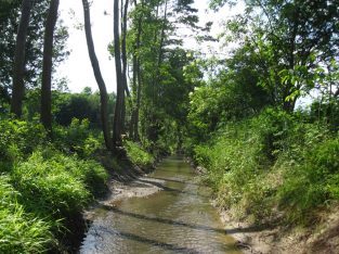 Pflegeplan Uferbegleitvegetation Rabnitz
