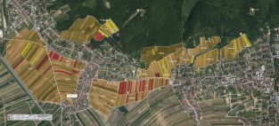 Weinrieden-Relief