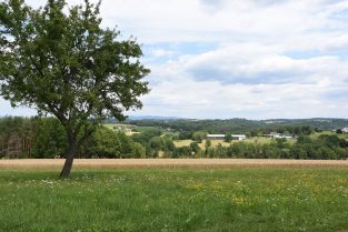 Landschaftskonzept Litzelsdorf