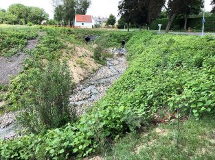 Neuanlage Umgehungsgerinne Lutzmannsburg