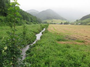 Aquakulturanlage Teichwiesen