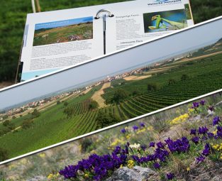 Pilotnetzwerke Nordburgenland