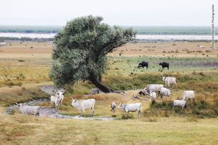 Inwertsetzung Welterbe
