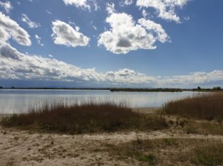 Mai 2021: Darscho und Lange Lacke (ST)