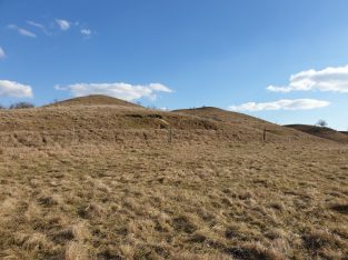 März 2021: Haidl Nickelsdorf (ST)