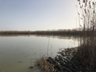 Feber 2021: Salzausbringung Sodalacken Seewinkel (KH)