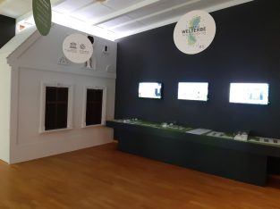 Jänner 2021: Welterberaum Illmitz (BK)
