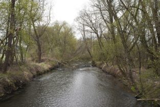 April 2021: Kartierung Wolfau (ST, KH)