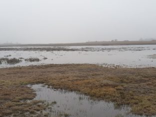 Feber 2021: Zicksee Illmitz (ST)