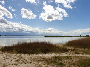 Mai 2021: Darscho und Lange Lacke