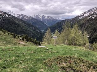 Juni 2021: Feldornithologiekurs in den Hohen Tauern