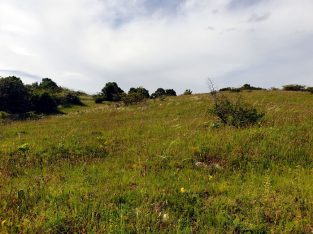 Mai 2021: Purbacher Heide