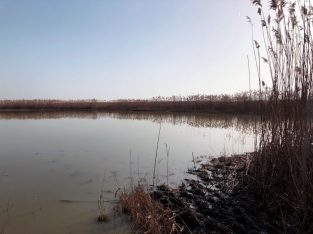 Feber 2021: Salzausbringung Sodalacken Seewinkel