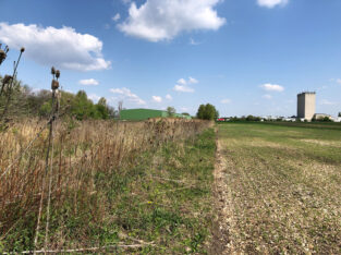Ausgleichsflächenmonitoring Pilotprojekt