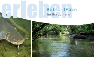 Broschüre 'Burgenländische Bäche und Flüsse'