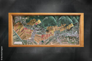 Weinrieden-Relief