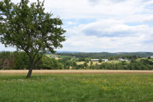 Landschaftskonzept Litzelsdorf