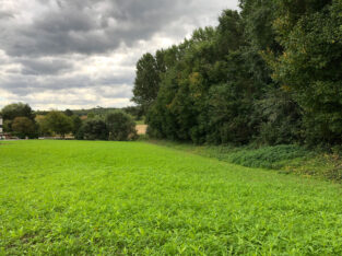 Retentionsdamm Pöttelsdorf