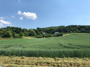 Landschaftskonzept Wolfau