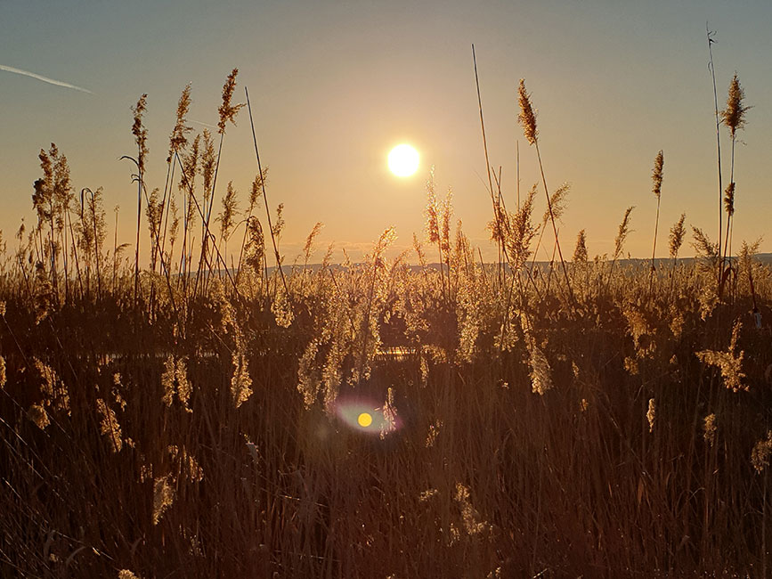 ARGE Westufer Neusiedler See