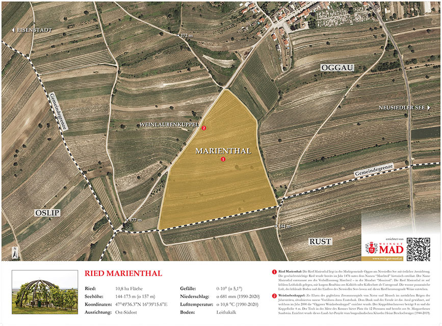 Riedentafel „Marienthal“