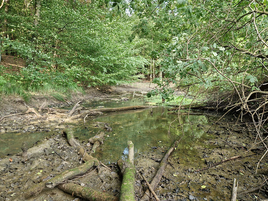 St. Kathrein (Deutsch Schützen) ÖBA